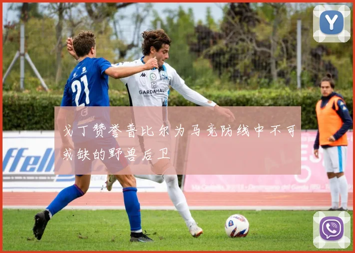 戈丁赞誉普比尔为马竞防线中不可或缺的野兽后卫